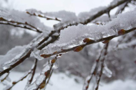 Winterimpression
