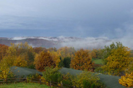 Nach dem Regen