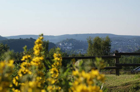 Blick auf die Altstadt
