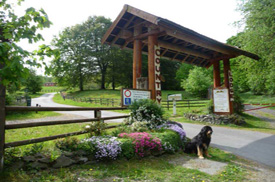 Eingangstor