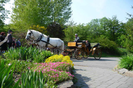 Kutschfahrt